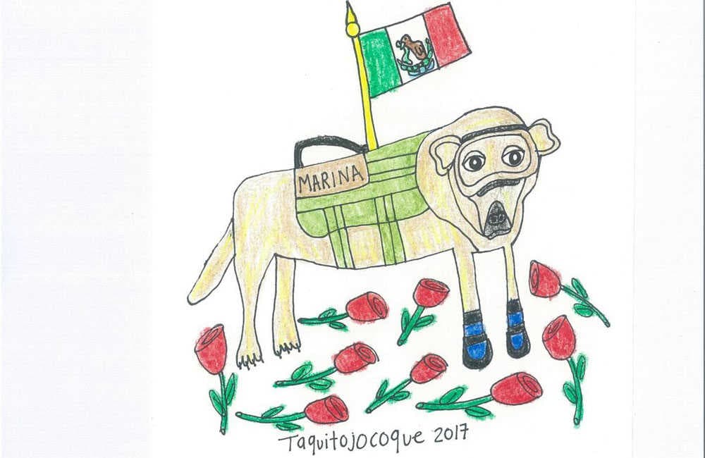 gran salon mexico powerpaola