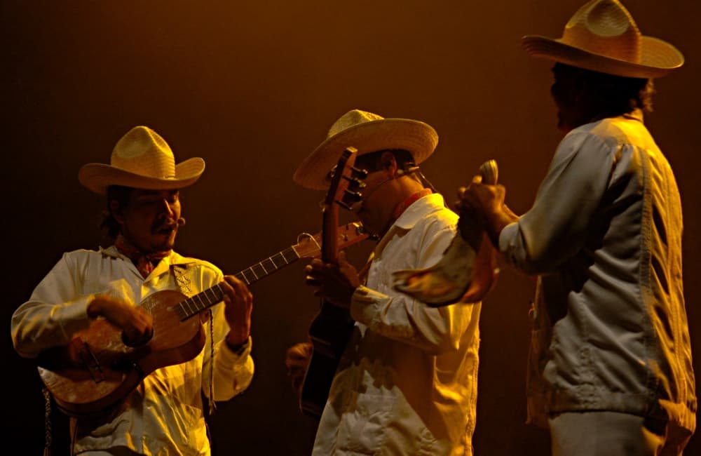 encuentro de son jarocho 2018
