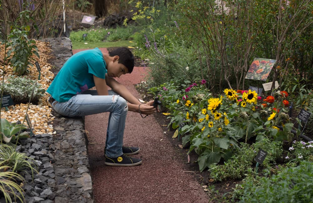Día nacional de los jardines botánicos