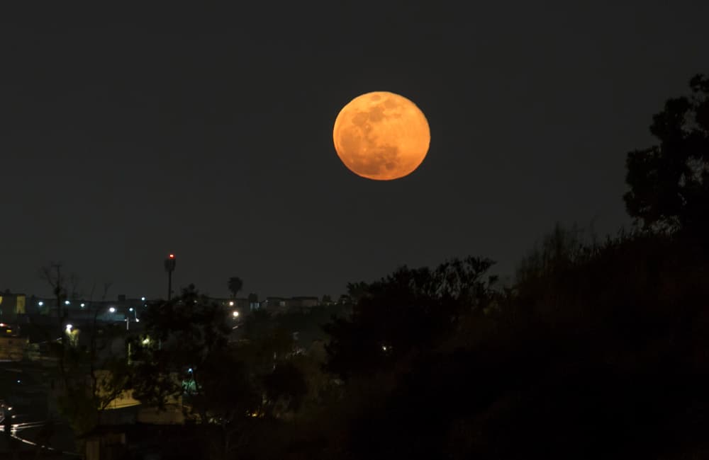 qué es la luna rosa