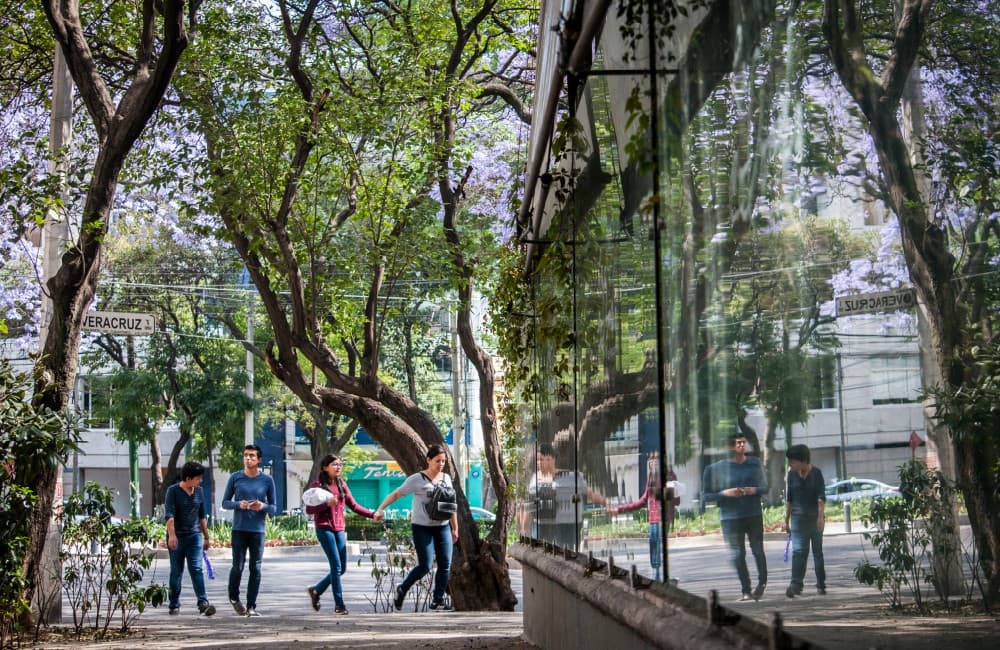 Estas serán las colonias para rentar en la CDMX más populares