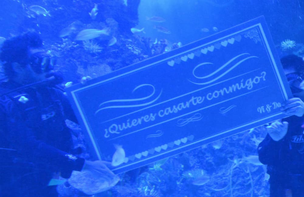 eventos en el acuario inbursa