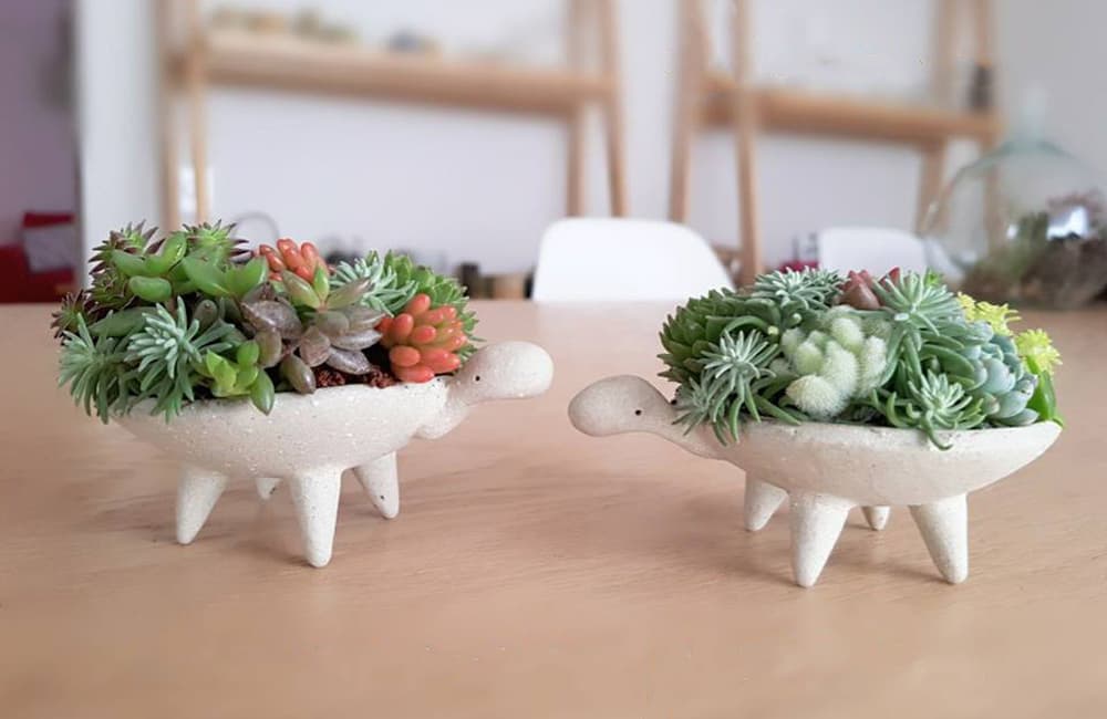 Garden Fest en Loreto