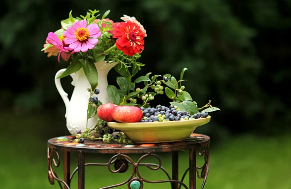 talleres para cuidar plantas