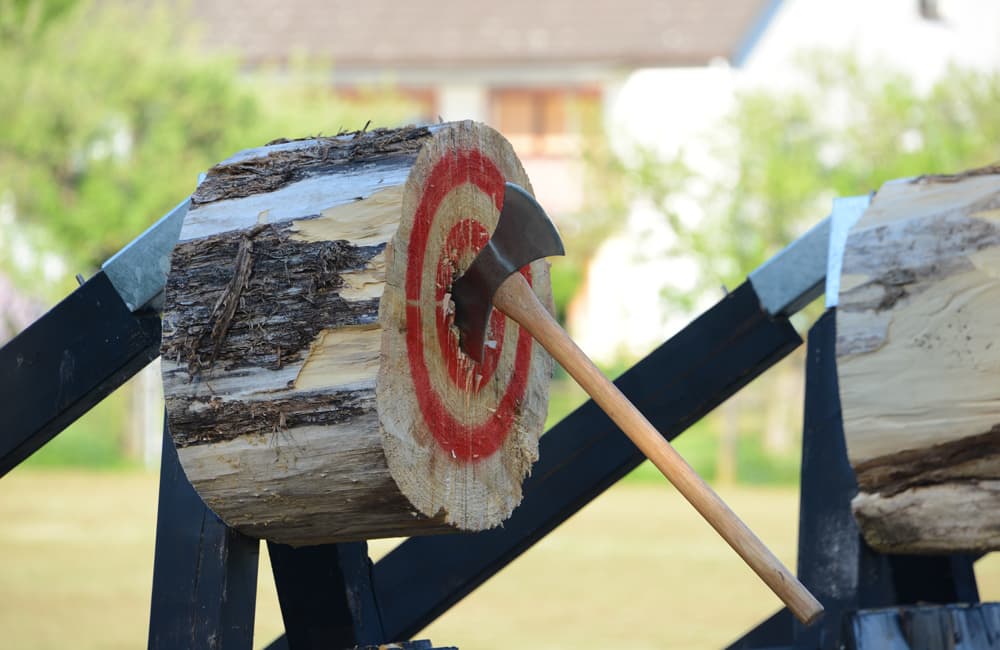 festival vikingo en CDMX