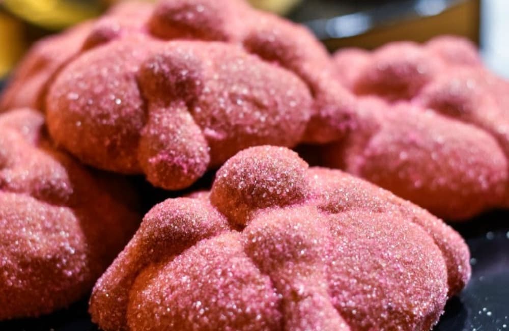 ¡MÉXICO VIVO Y QUERIDO!