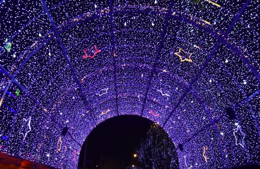 alternativas para el filux 2018