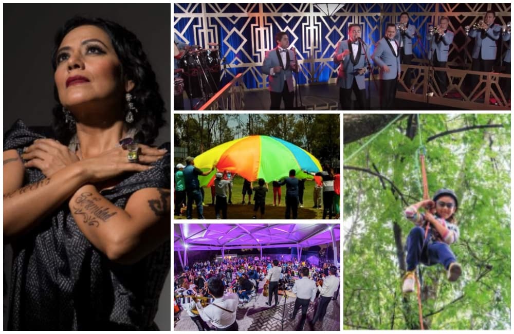 festival del bosque 2018