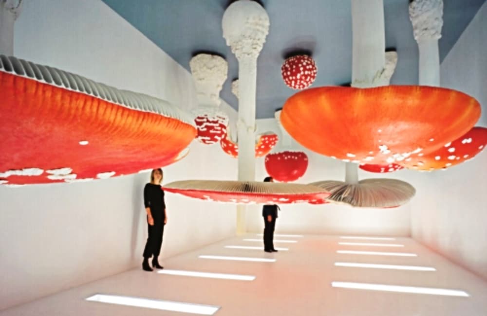 exposiciones en 2019