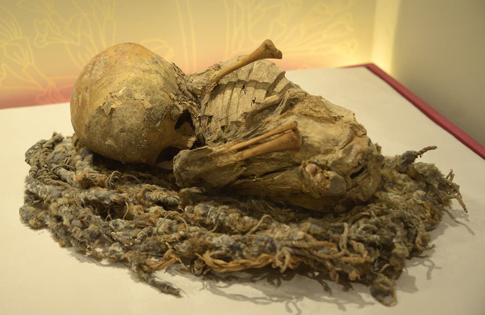 exposición de momias en CDMX