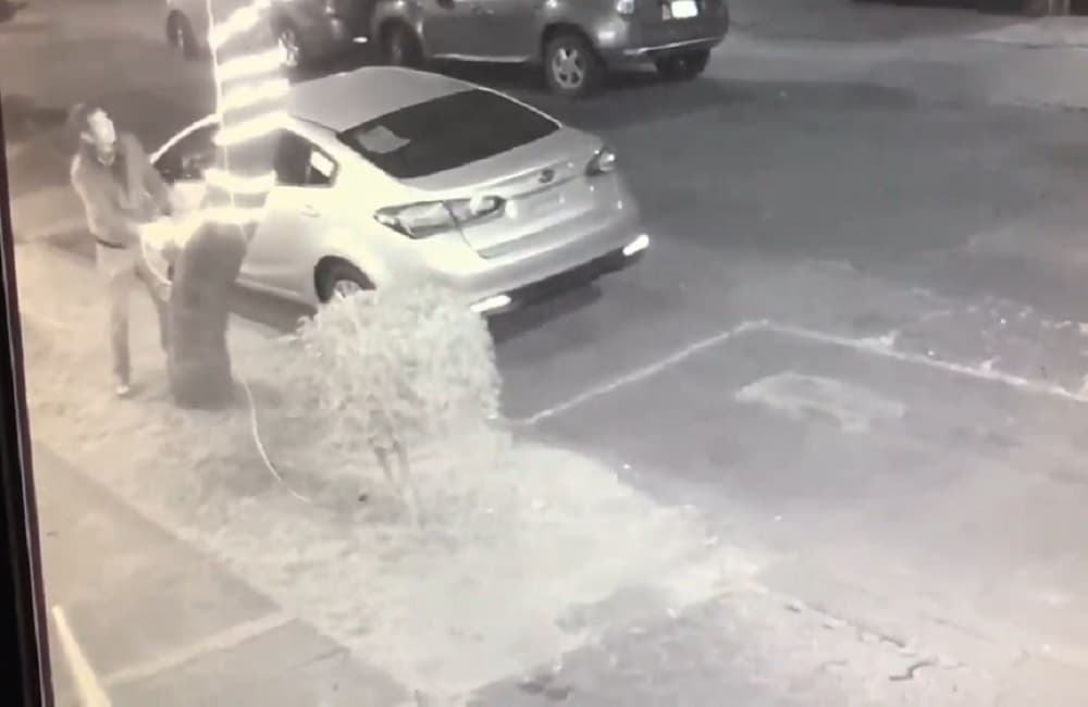 roban luces navideñas en la Narvarte