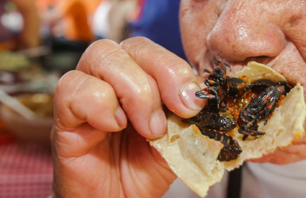 MUESTRA GASTRONÓMICA SANTIAGO DE ANAYA