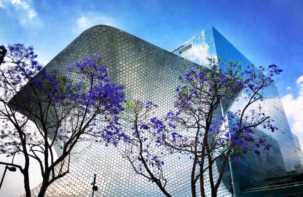 soumaya es uno de los museos más bellos de 2019