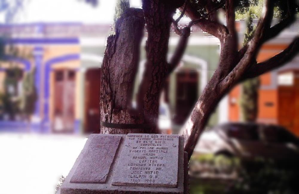 árbol de los colgados en la cdmx