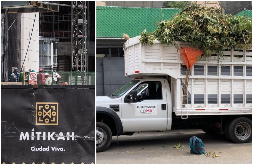 tala de 60 árboles por empleados de mitikah