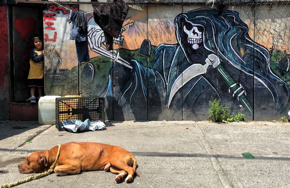 TOUR POR TEPITO DE BARRIOPOLIS