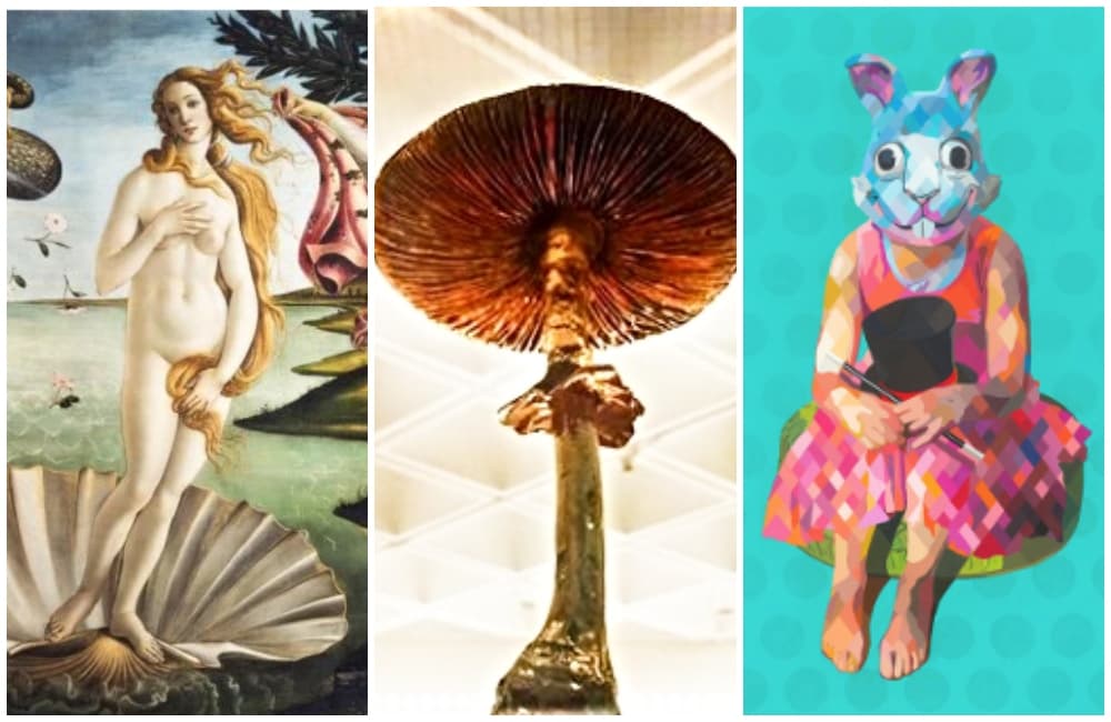 exposiciones de junio 2019