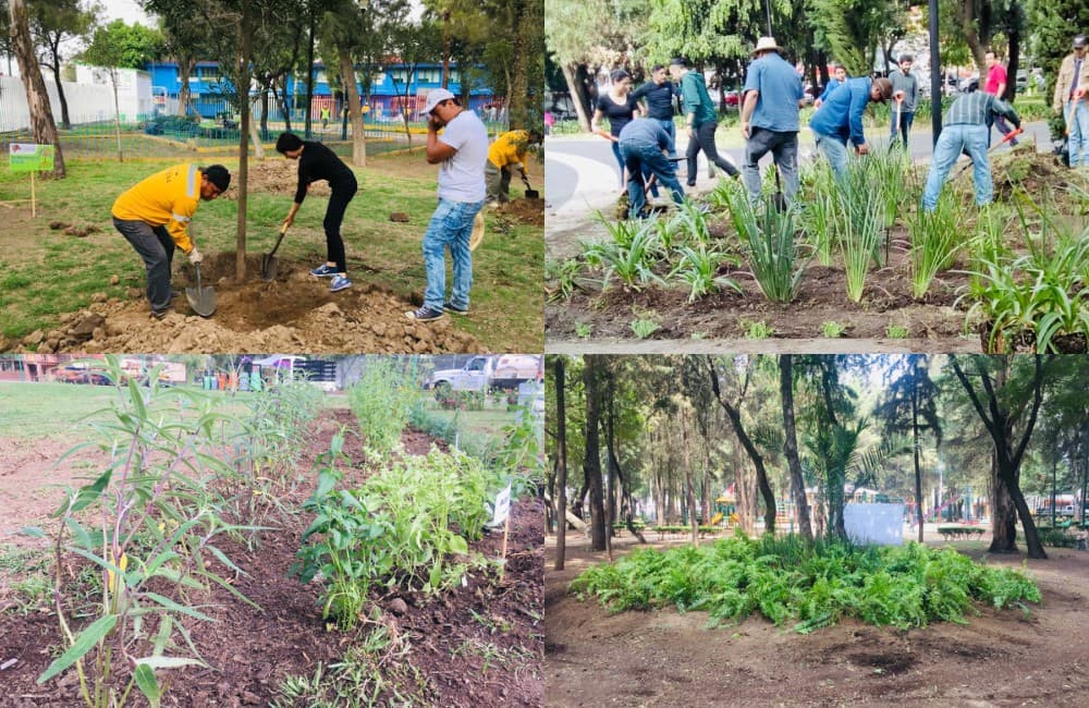 ¿Ya te inscribiste? Así inició el Reto verde en la CDMX