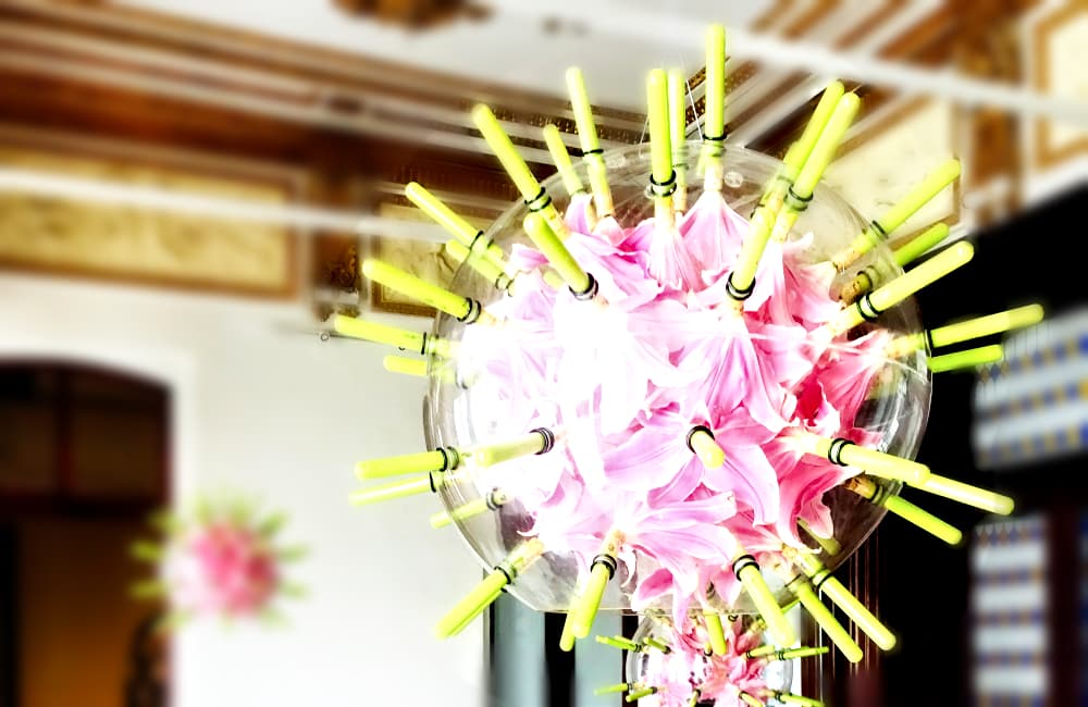 sinestesia olfativa en el mupe