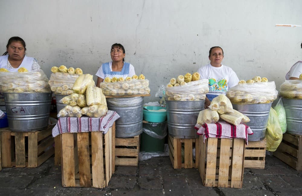 FERIA DEL ELOTE EN MILPA ALTA 2019