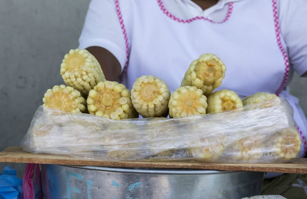 FERIA DEL ELOTE EN TLALPAN 2019