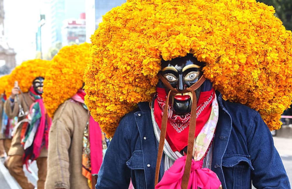 festival de flores del centro histórico