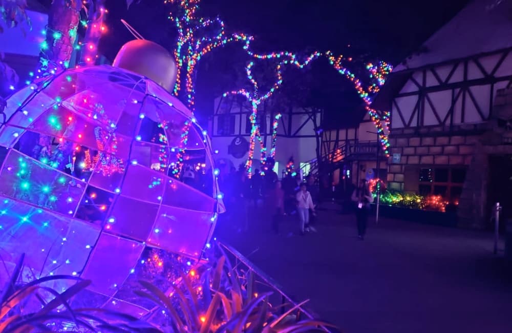 christmas in the park