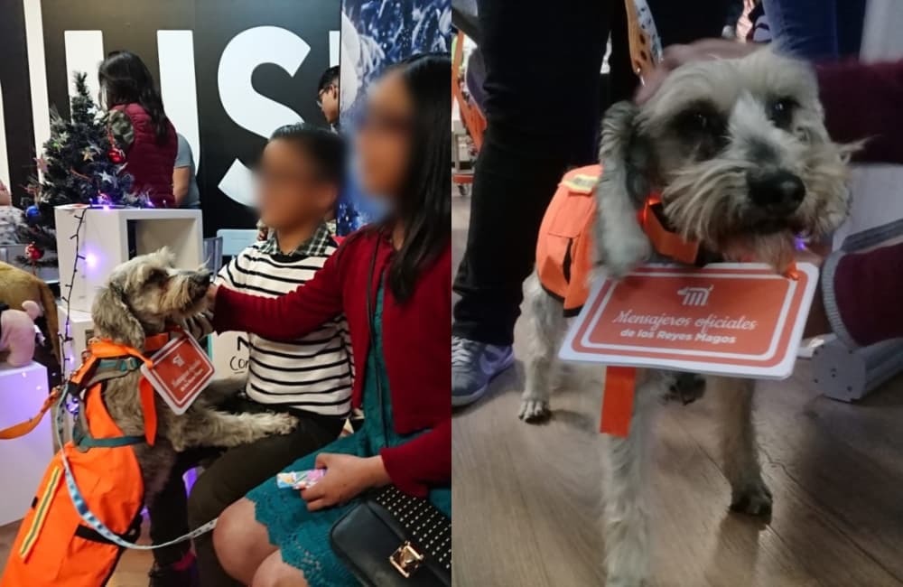 carta en el Metro para los reyes magos