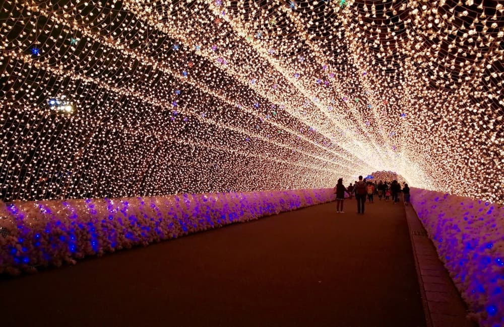 festival de luces de japón