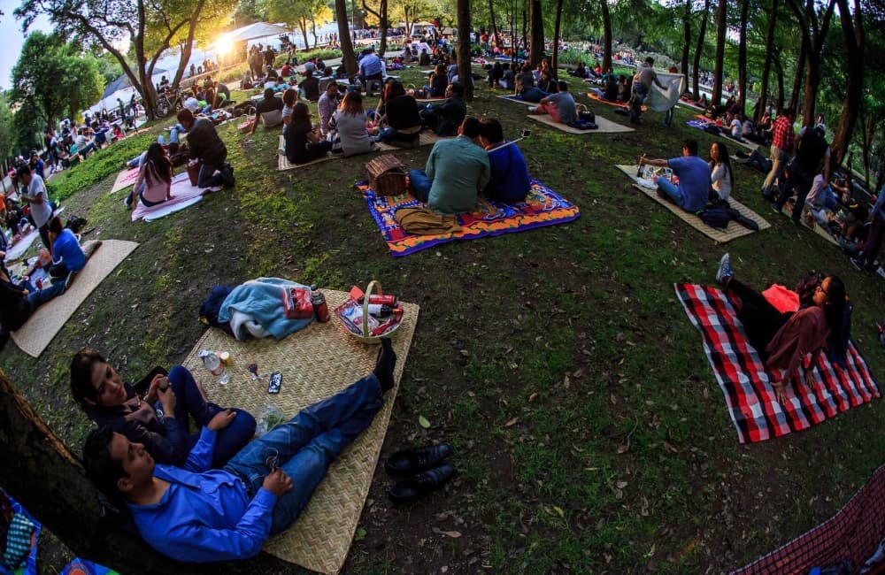 picnic nocturno febrero 2020