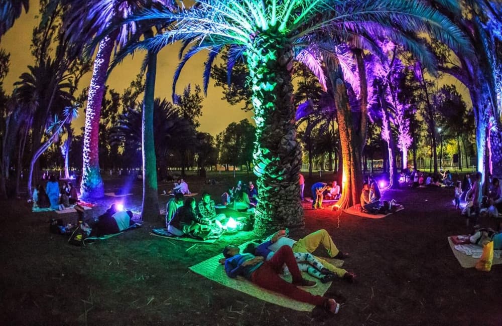 picnic nocturno marzo 2020