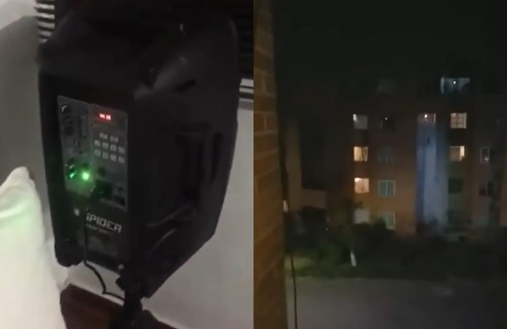 ramito de violetas desde casa