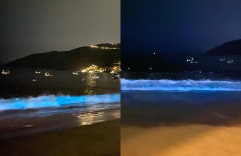 playas de acapulco en cuarentena