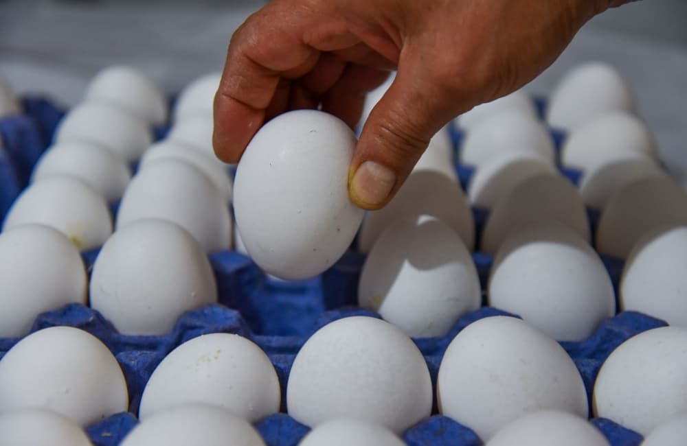 precio de la canasta básica