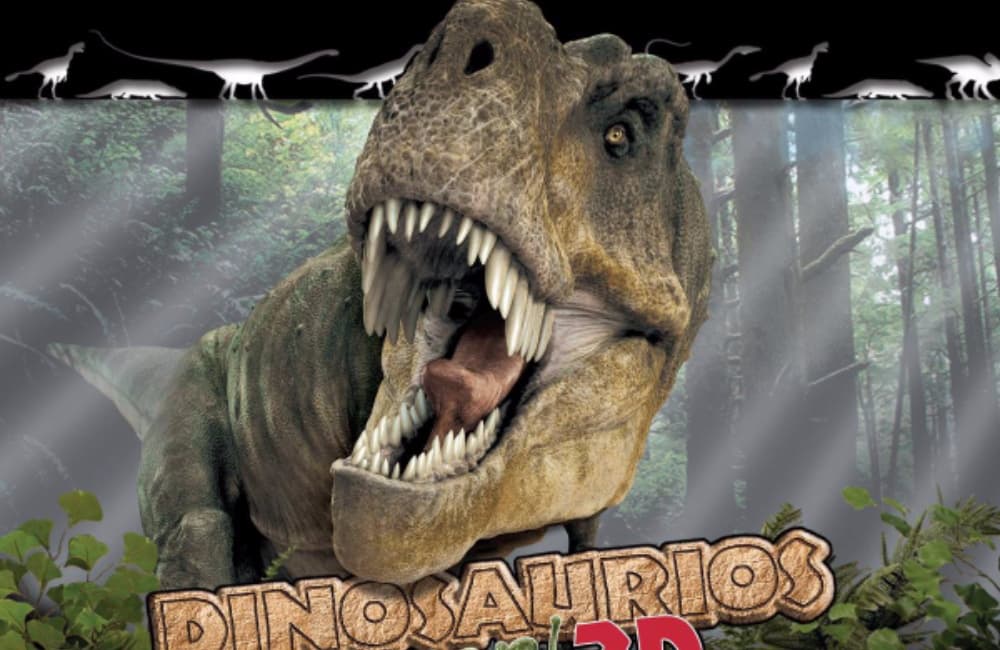 películas del papalote en casa