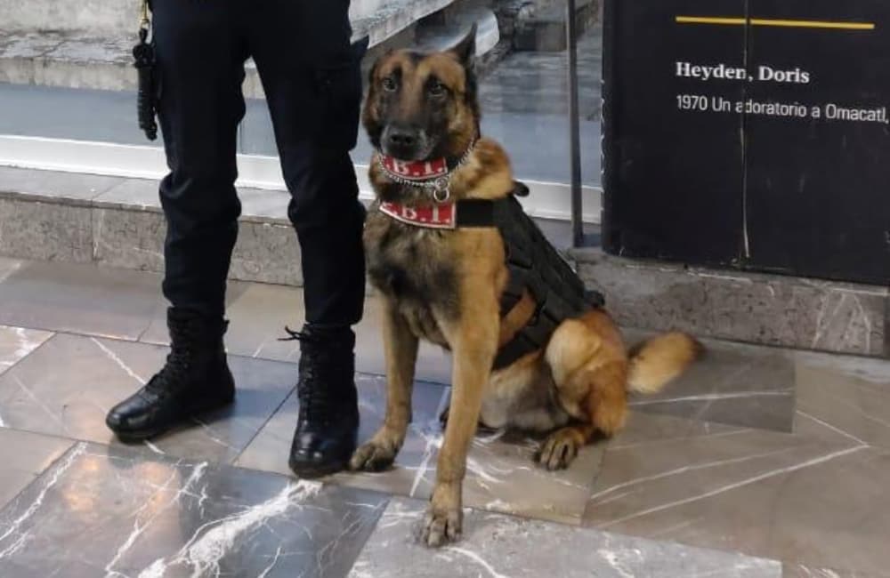 perros policías del metro