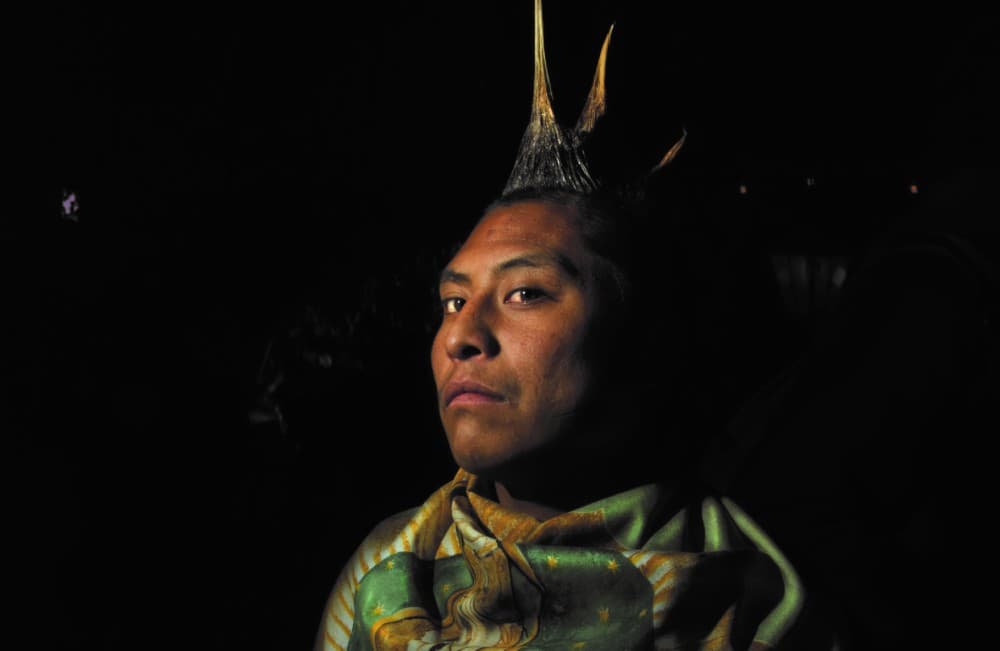 virgen de guadalupe en el franz mayer