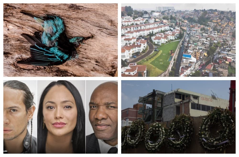 mejores reportajes de 2018