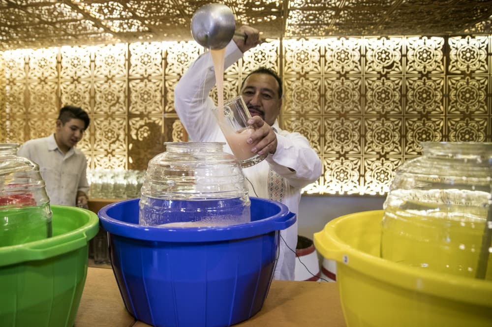 MUSEO DEL PULQUE CDMX