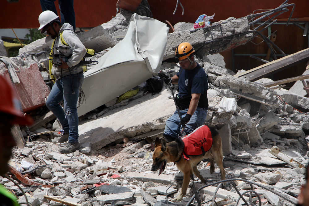 Demolicion de casas