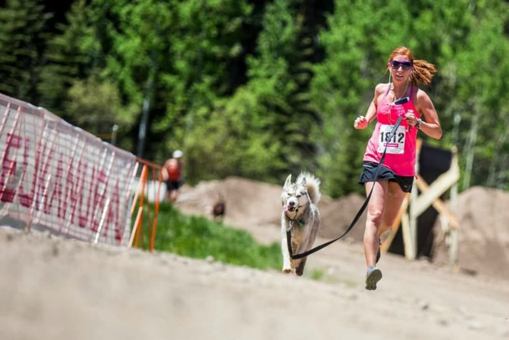 carrera y caminata con mascota