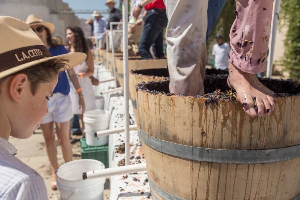 Las Fiestas de la Vendimia en México