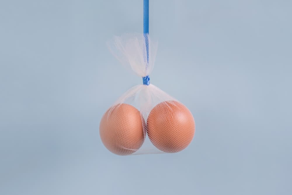 vasectomía sin bisturí