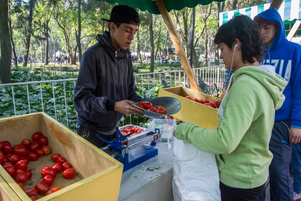 Mercado de Trueque 2018