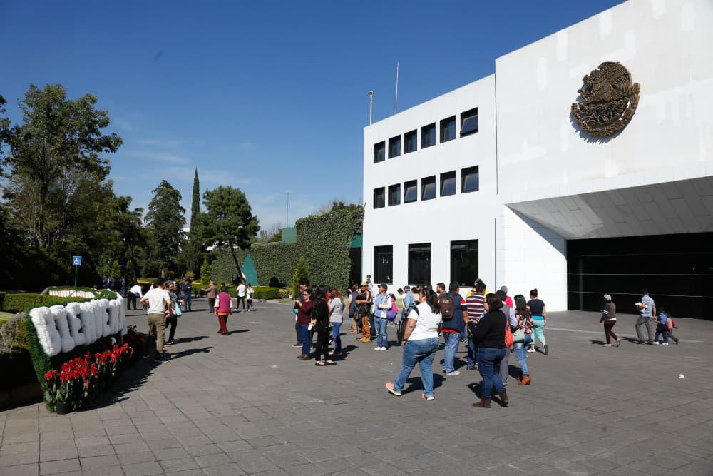 obras de arte de los pinos