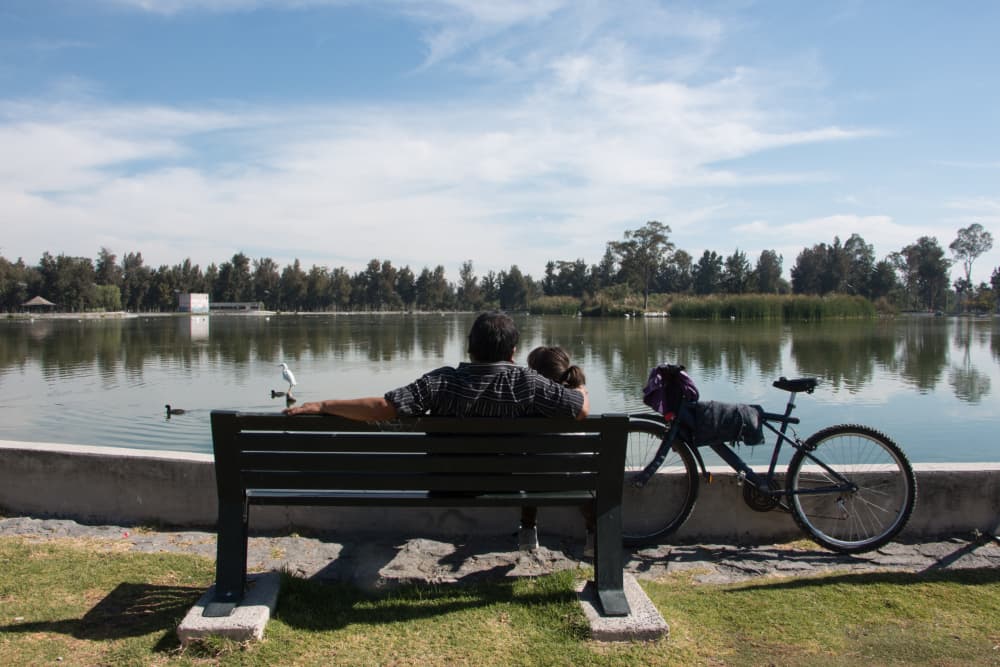 Lanzan plan para rehabilitación del Bosque de Aragón