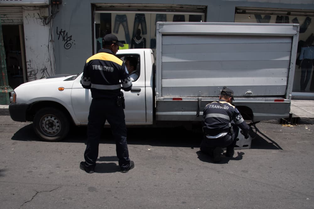 Dile adiós a las arañas en la CDMX partir de este lunes