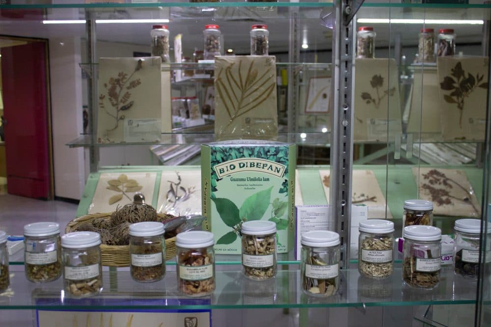 Herbario Medicinal del IMSS