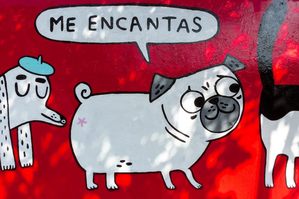 gemma correll mural CDMX