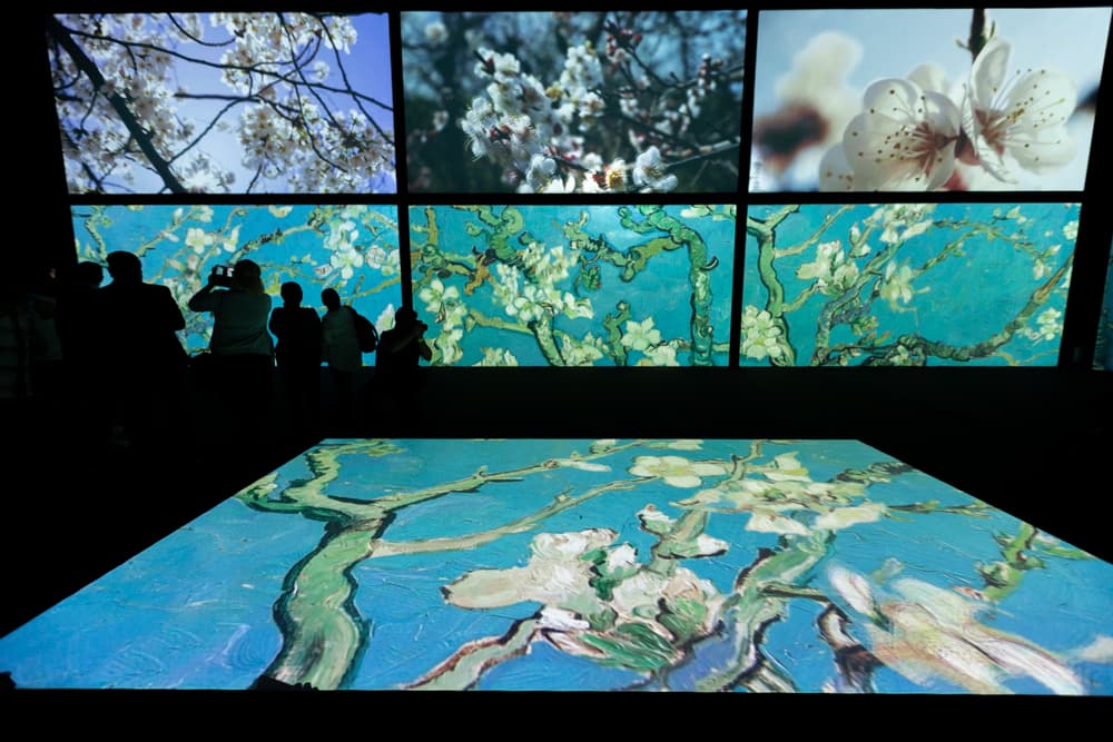 van gogh alive gratis